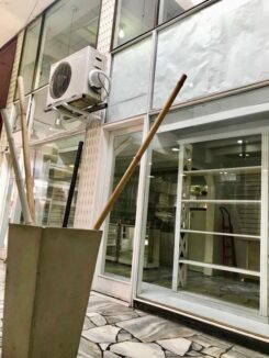 59728722_381388519374665_6234065551774187520_n