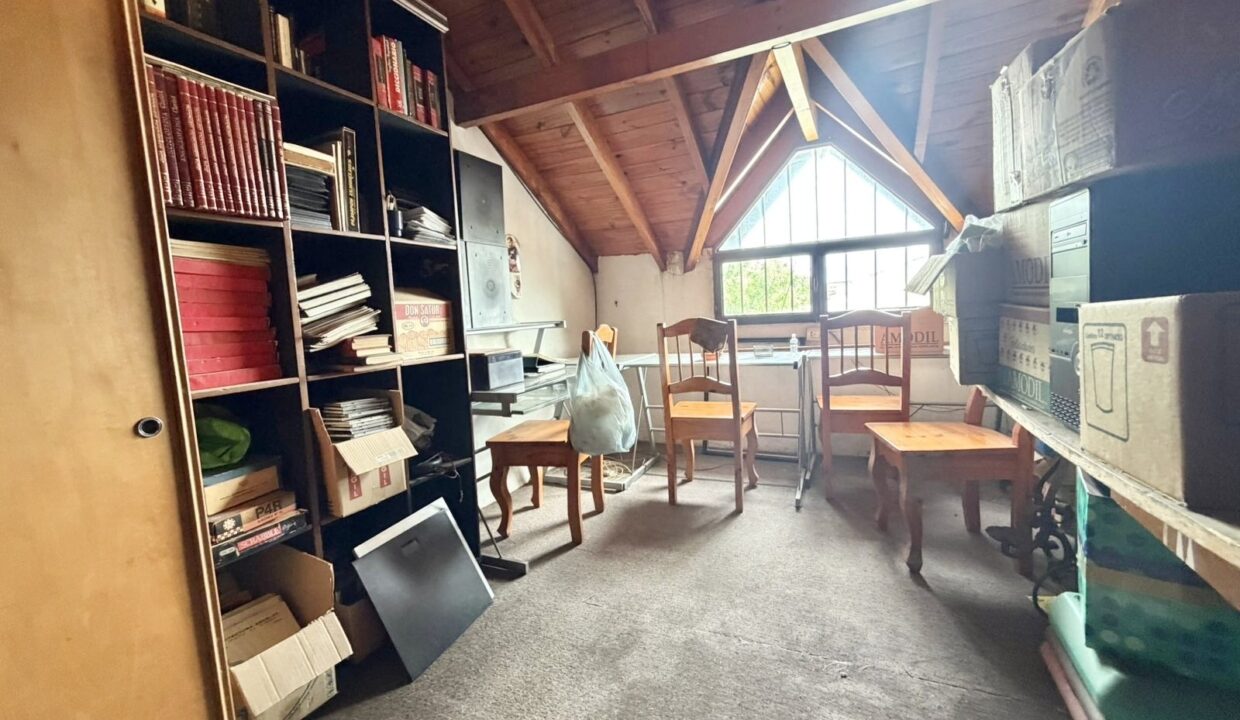 thumbnail_4f8b4b33-3855-44e6-bfa1-c91014e7e600