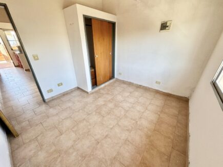 andrade 1436 (12)